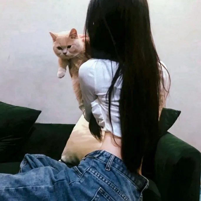 侠女游龙粤语